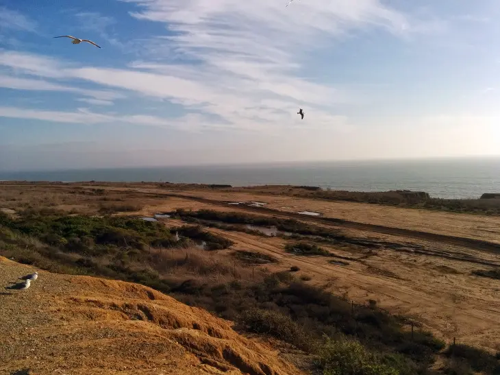 LAS FLORES VIEW POINT