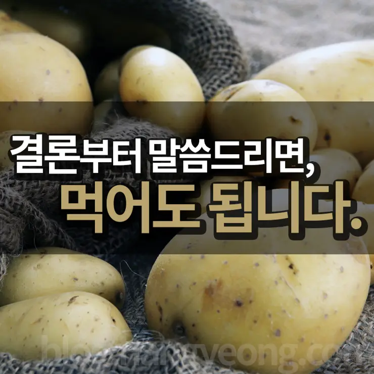 싹난 감자 먹어도 되나요?