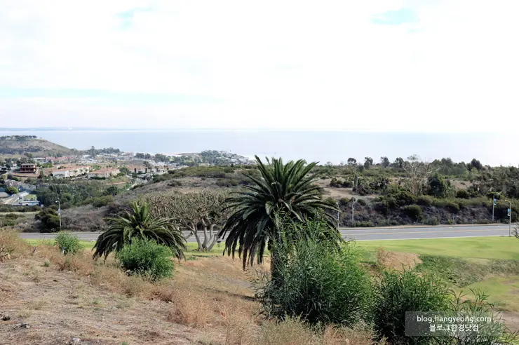 미국에서 가장 예쁜 캠퍼스를 자랑하는 페퍼다인대학교(Pepperdine University)