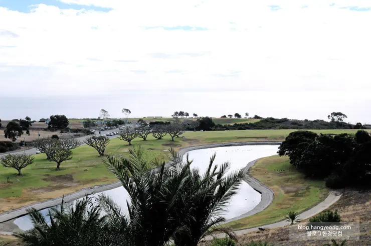 미국에서 가장 예쁜 캠퍼스를 자랑하는 페퍼다인대학교(Pepperdine University)