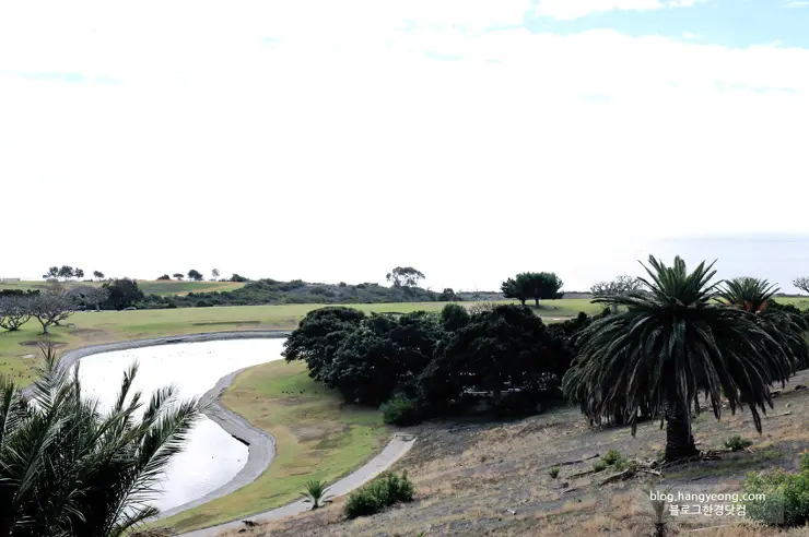 미국에서 가장 예쁜 캠퍼스를 자랑하는 페퍼다인대학교(Pepperdine University)