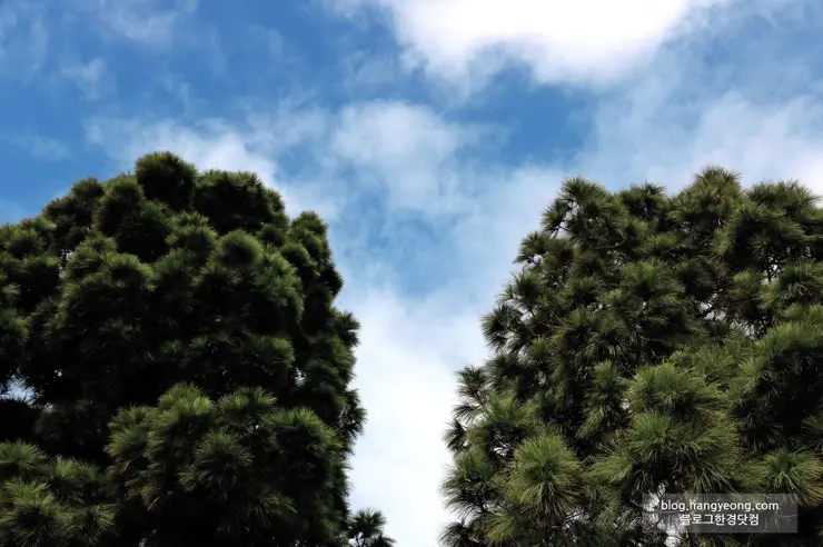 미국에서 가장 예쁜 캠퍼스를 자랑하는 페퍼다인대학교(Pepperdine University)