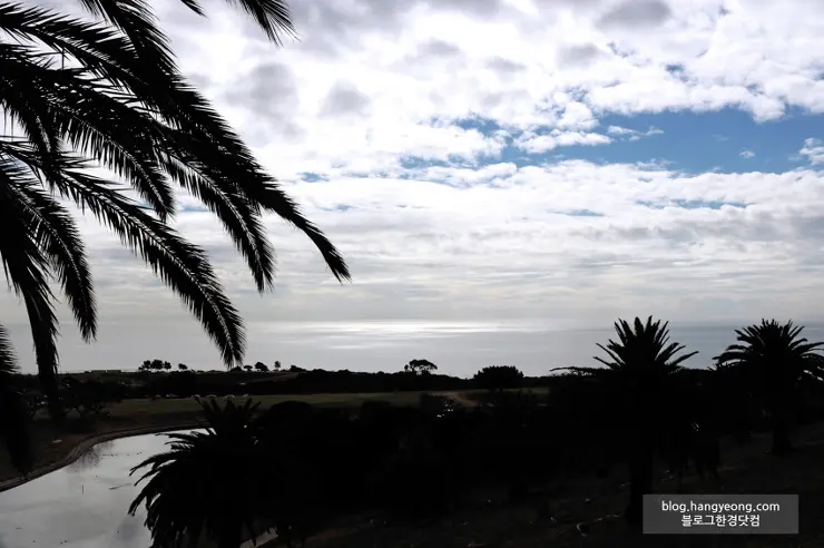 미국에서 가장 예쁜 캠퍼스를 자랑하는 페퍼다인대학교(Pepperdine University)