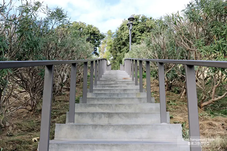 미국에서 가장 예쁜 캠퍼스를 자랑하는 페퍼다인대학교(Pepperdine University)