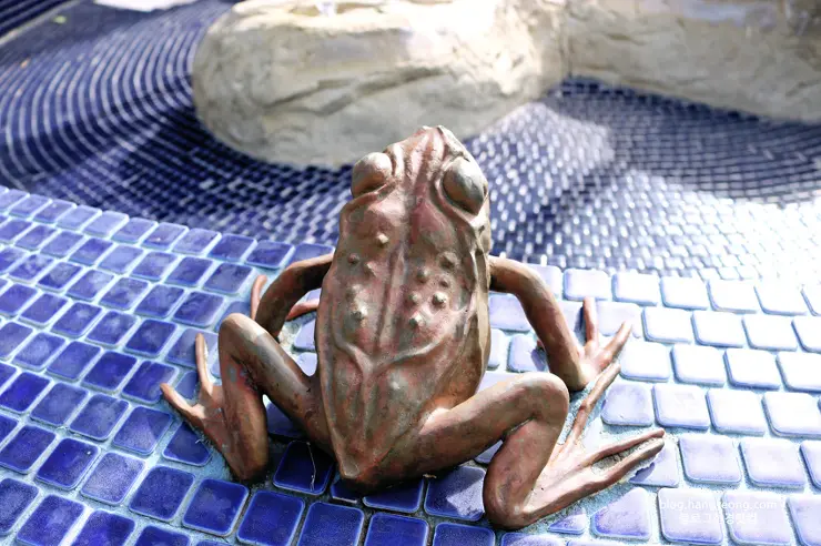 미국에서 가장 예쁜 캠퍼스를 자랑하는 페퍼다인대학교(Pepperdine University)