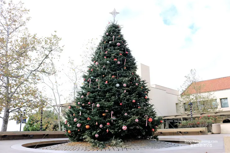 미국에서 가장 예쁜 캠퍼스를 자랑하는 페퍼다인대학교(Pepperdine University)
