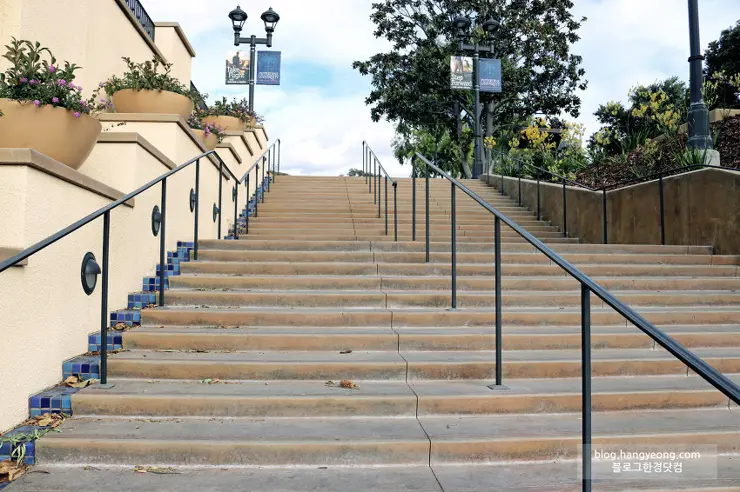 미국에서 가장 예쁜 캠퍼스를 자랑하는 페퍼다인대학교(Pepperdine University)