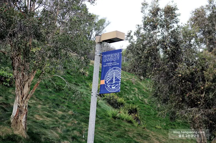 미국에서 가장 예쁜 캠퍼스를 자랑하는 페퍼다인대학교(Pepperdine University)