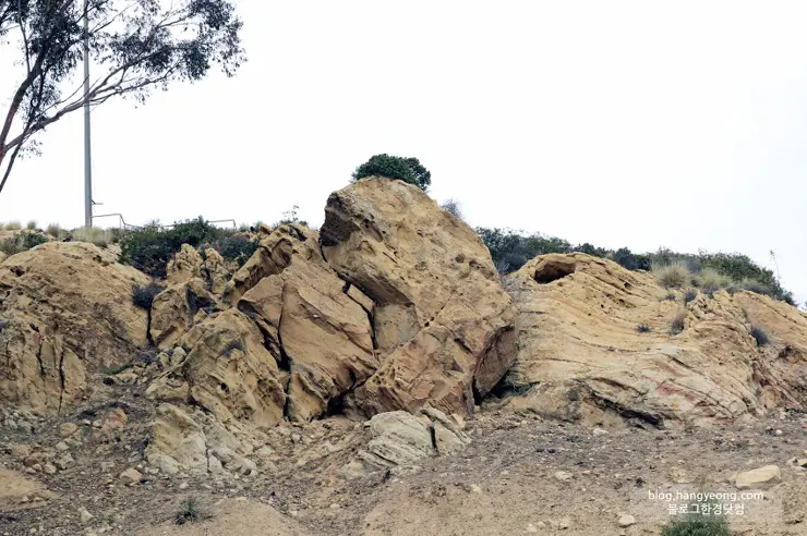 미국에서 가장 예쁜 캠퍼스를 자랑하는 페퍼다인대학교(Pepperdine University)