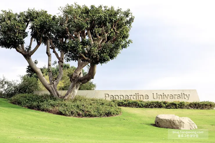 미국에서 가장 예쁜 캠퍼스를 자랑하는 페퍼다인대학교(Pepperdine University)