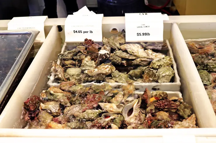 킹크랩, 랍스터가 먹고 싶다면 레돈도비치에 가라고 전해라!