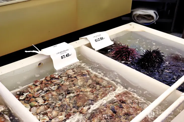 킹크랩, 랍스터가 먹고 싶다면 레돈도비치에 가라고 전해라!