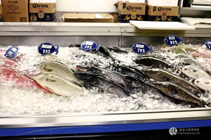 킹크랩, 랍스터가 먹고 싶다면 레돈도비치에 가라고 전해라!