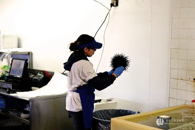 킹크랩, 랍스터가 먹고 싶다면 레돈도비치에 가라고 전해라!