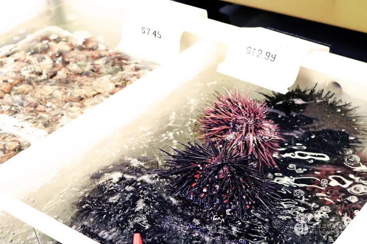 킹크랩, 랍스터가 먹고 싶다면 레돈도비치에 가라고 전해라!