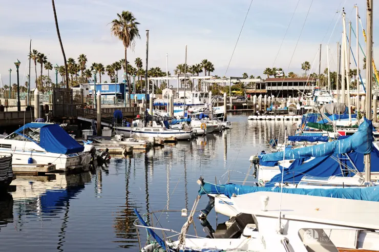 킹크랩, 랍스터가 먹고 싶다면 레돈도비치에 가라고 전해라!