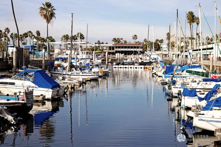 킹크랩, 랍스터가 먹고 싶다면 레돈도비치에 가라고 전해라!