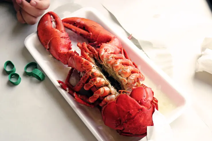 킹크랩, 랍스터가 먹고 싶다면 레돈도비치에 가라고 전해라!