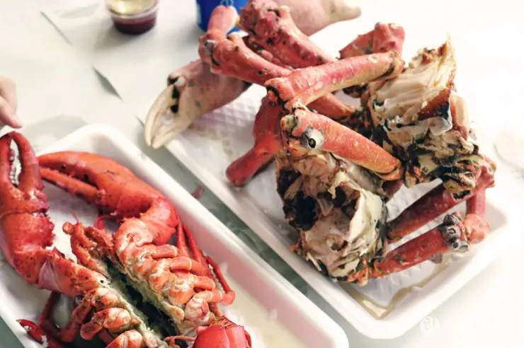 킹크랩, 랍스터가 먹고 싶다면 레돈도비치에 가라고 전해라!