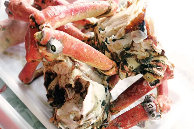 킹크랩, 랍스터가 먹고 싶다면 레돈도비치에 가라고 전해라!