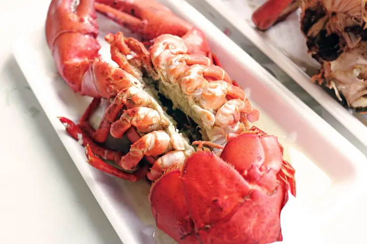 킹크랩, 랍스터가 먹고 싶다면 레돈도비치에 가라고 전해라!