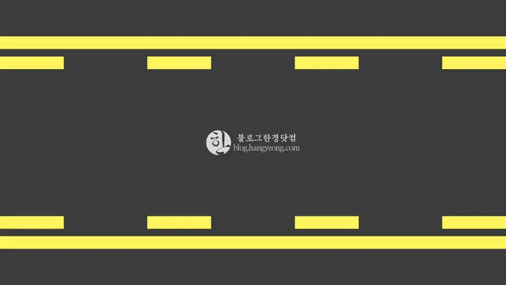 [미국여행] 중앙 좌회전 차선(Center left turn Lane), 너 참 낯설다?