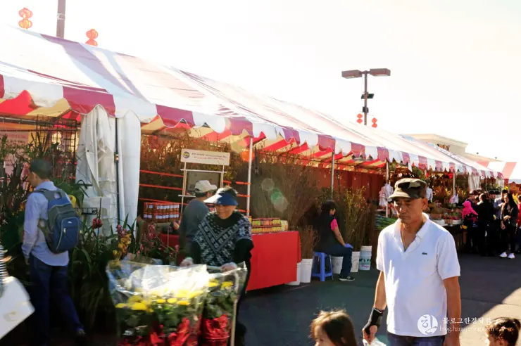 리틀 사이공(Little Saigon) 이색 미국 여행, 미국에서 베트남을 만나다.