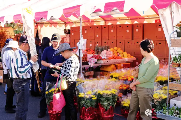리틀 사이공(Little Saigon) 이색 미국 여행, 미국에서 베트남을 만나다.