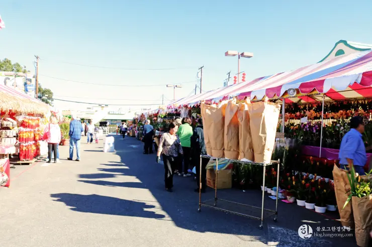 리틀 사이공(Little Saigon) 이색 미국 여행, 미국에서 베트남을 만나다.