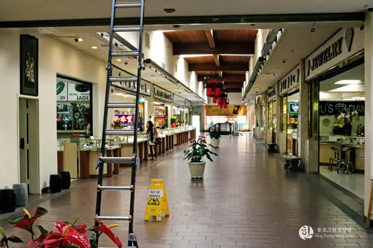 리틀 사이공(Little Saigon) 이색 미국 여행, 미국에서 베트남을 만나다.