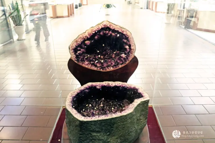 리틀 사이공(Little Saigon) 이색 미국 여행, 미국에서 베트남을 만나다.