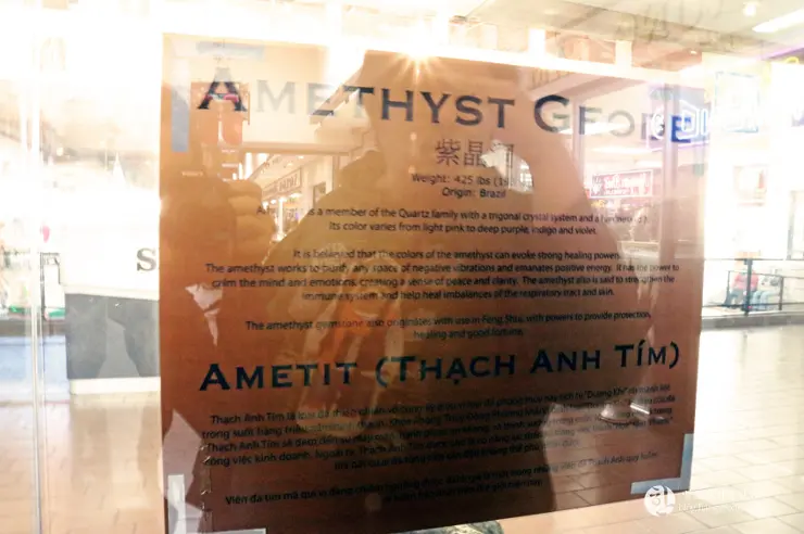 리틀 사이공(Little Saigon) 이색 미국 여행, 미국에서 베트남을 만나다.