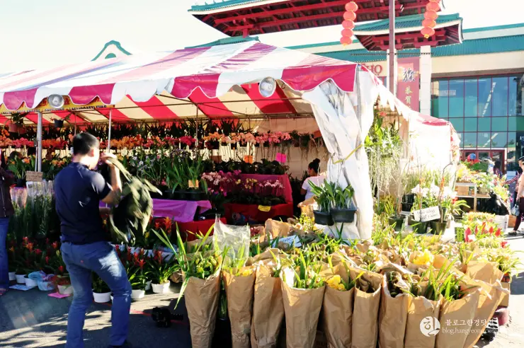 리틀 사이공(Little Saigon) 이색 미국 여행, 미국에서 베트남을 만나다.