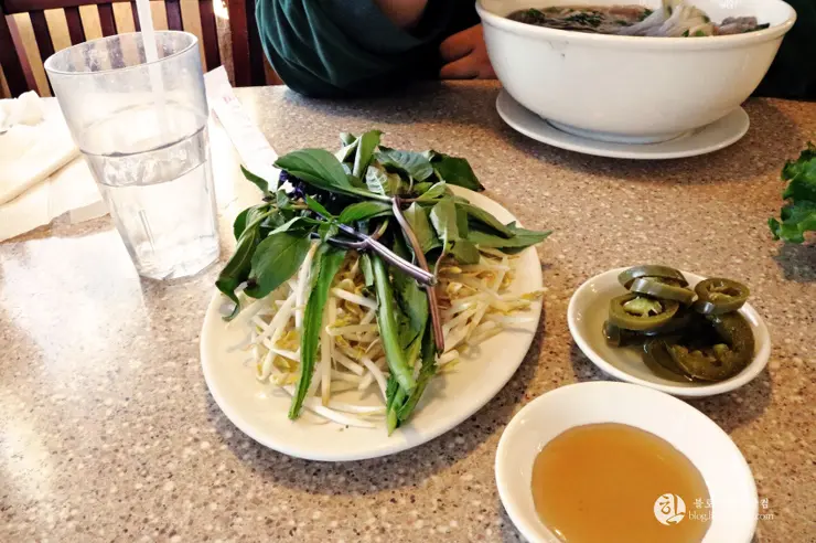 리틀 사이공(Little Saigon) 이색 미국 여행, 미국에서 베트남을 만나다.