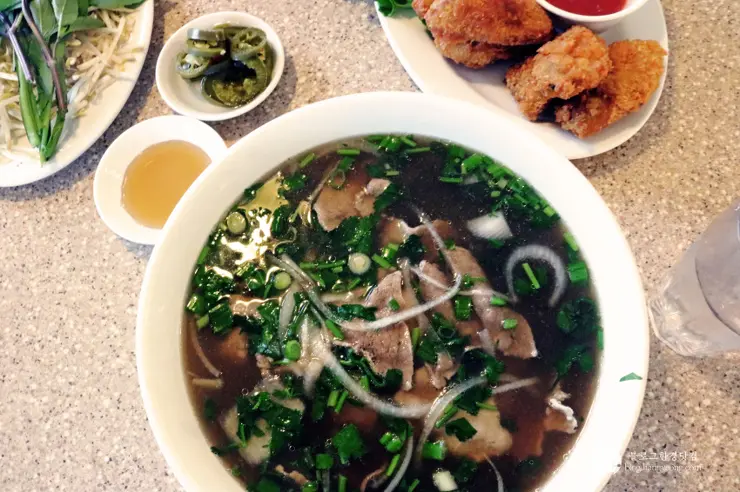 리틀 사이공(Little Saigon) 이색 미국 여행, 미국에서 베트남을 만나다.