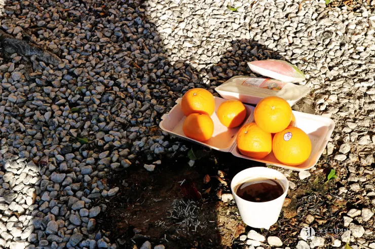 리틀 사이공(Little Saigon) 이색 미국 여행, 미국에서 베트남을 만나다.