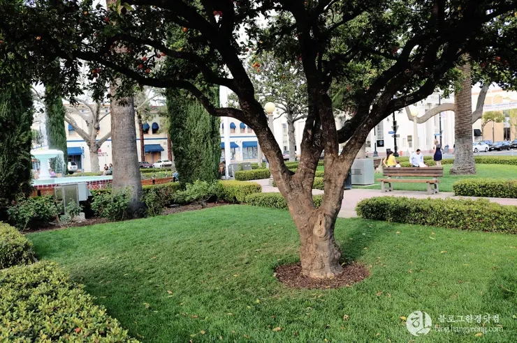 오렌지시티 올드타운(Old Towne Historic District, City of Orange), 미국 인사동 거리