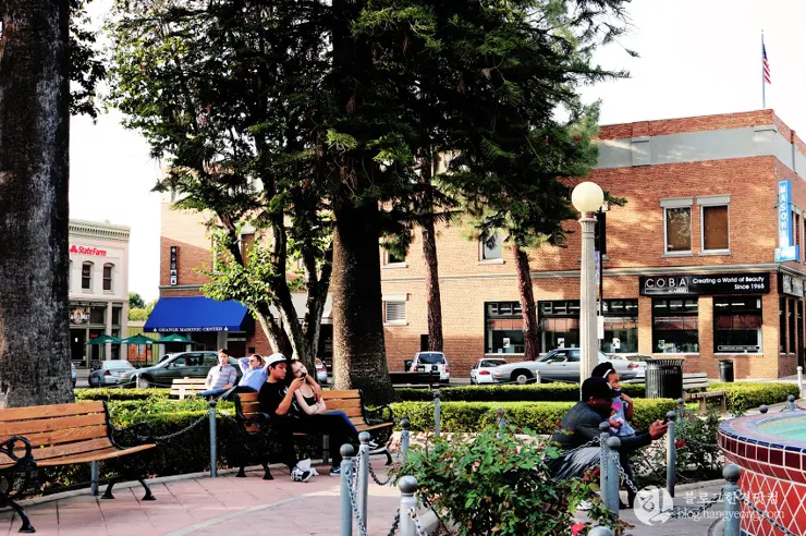 오렌지시티 올드타운(Old Towne Historic District, City of Orange), 미국 인사동 거리