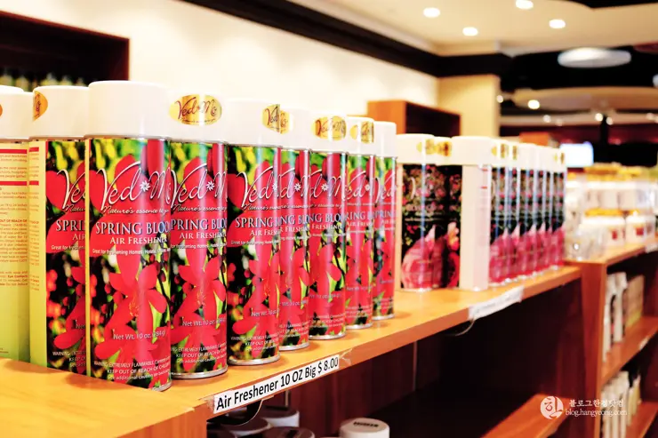 힌두교 사원(BAPS Shri Swaminarayan Mandir) 미국에도 이런 곳이? 동양 문화의 꽃