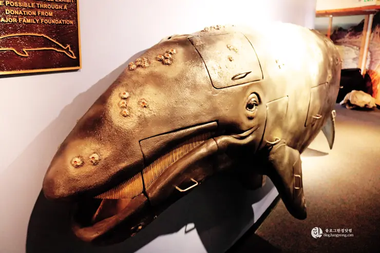 LA여행, 팔로스 버디스 추천 관광 명소