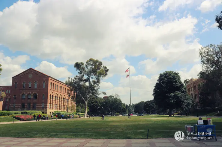 미국 대학교 탐방, 명문 캘리포니아 주립대학교 UCLA