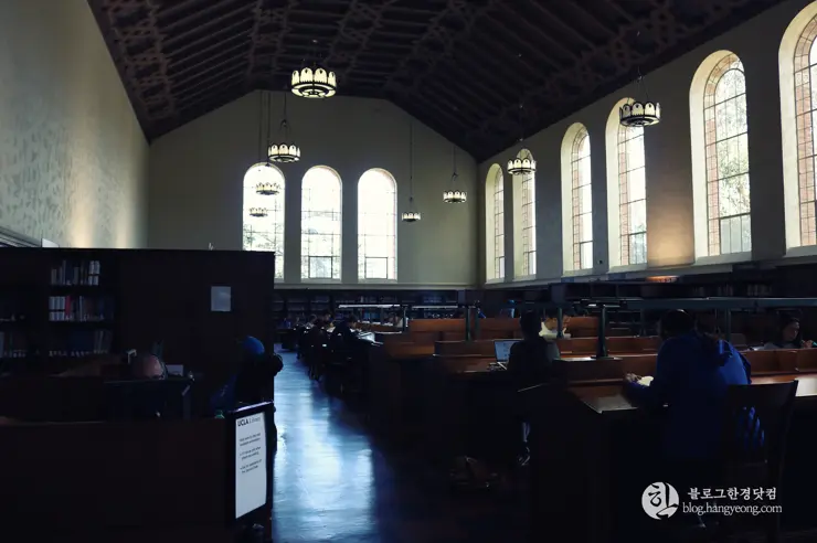 미국 대학교 탐방, 명문 캘리포니아 주립대학교 UCLA