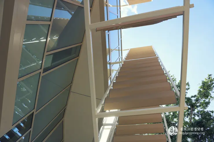 미국 대학교 탐방, 명문 캘리포니아 주립대학교 UCLA