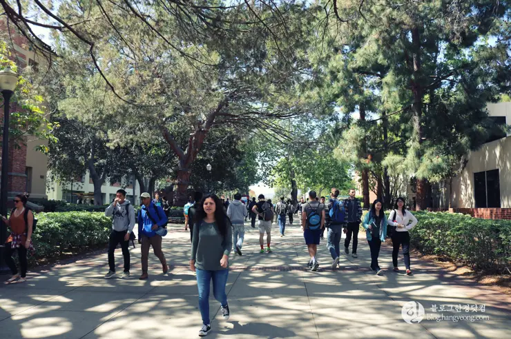 미국 대학교 탐방, 명문 캘리포니아 주립대학교 UCLA