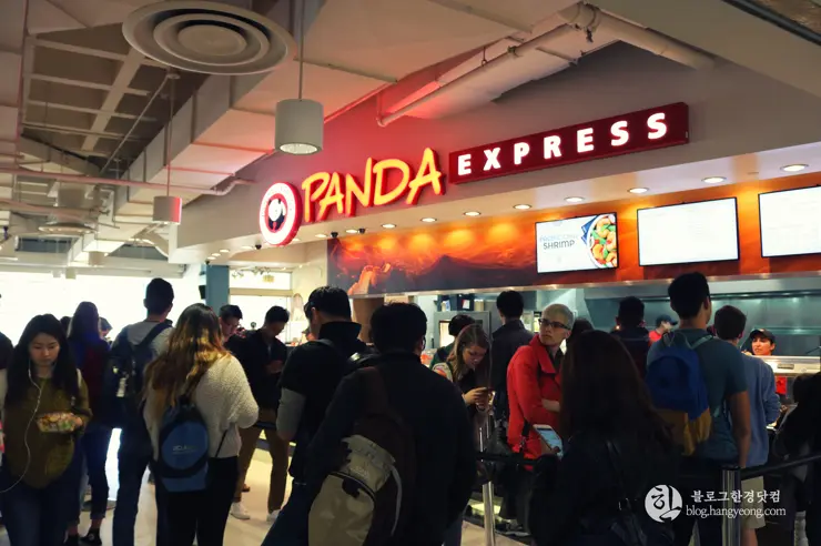 미국 대학교 탐방, 명문 캘리포니아 주립대학교 UCLA