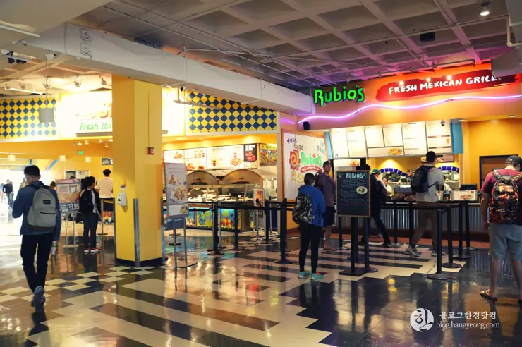 미국 대학교 탐방, 명문 캘리포니아 주립대학교 UCLA