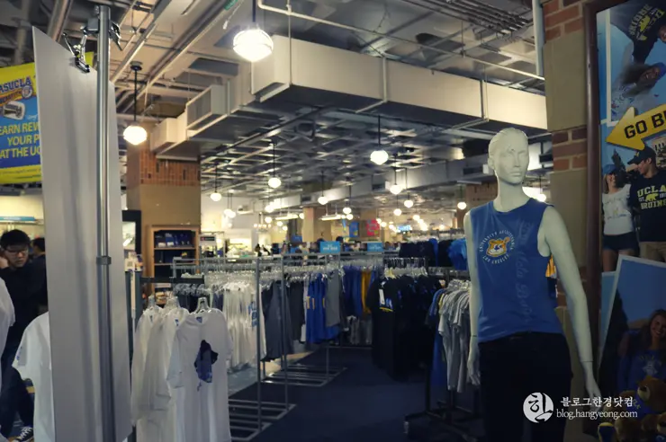 미국 대학교 탐방, 명문 캘리포니아 주립대학교 UCLA