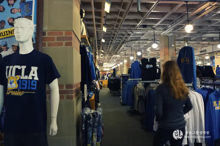 미국 대학교 탐방, 명문 캘리포니아 주립대학교 UCLA