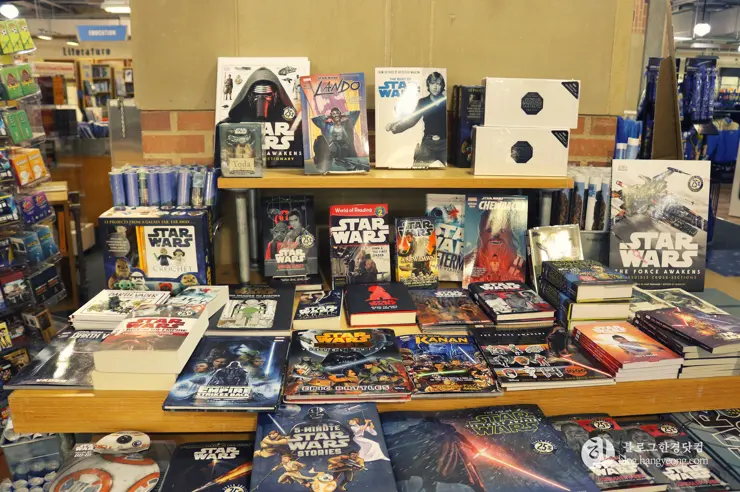 미국 대학교 탐방, 명문 캘리포니아 주립대학교 UCLA