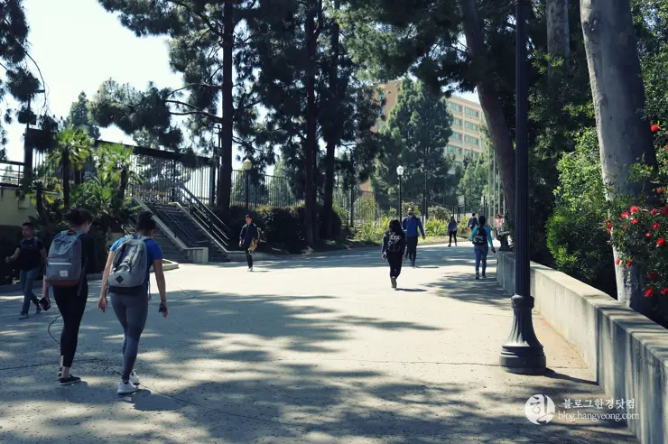 미국 대학교 탐방, 명문 캘리포니아 주립대학교 UCLA